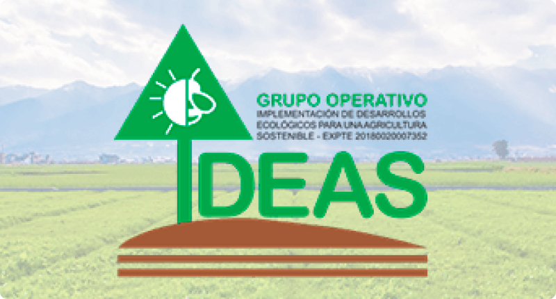 grupo_go_ideas