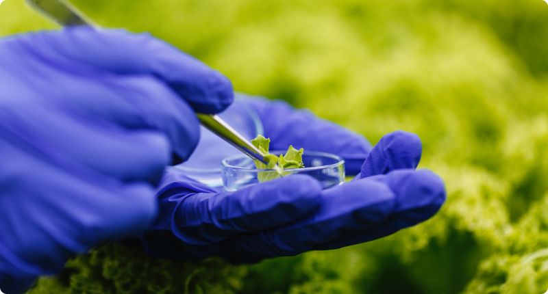 innobiotec_2021_